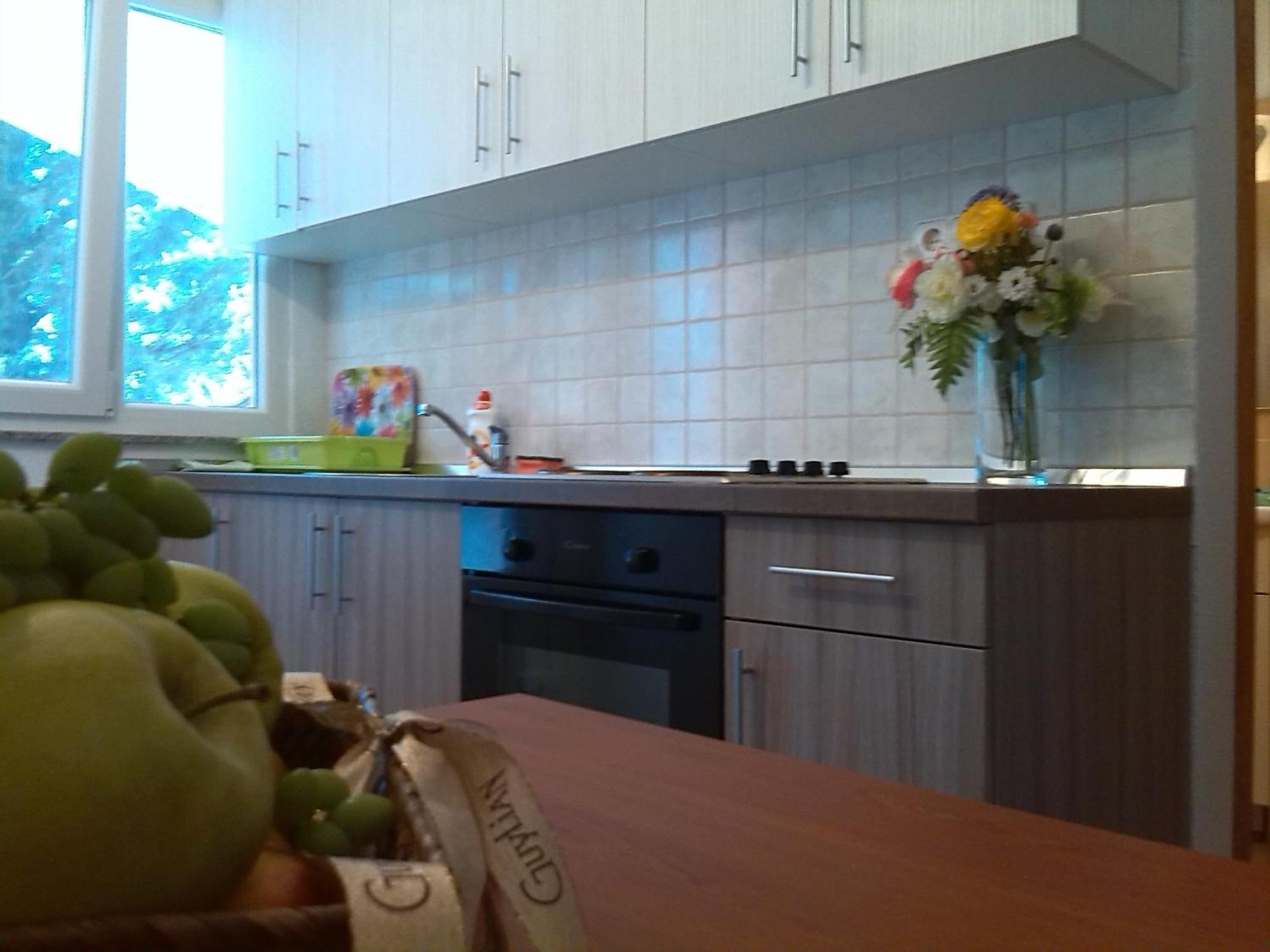 Apartment Luka Gornji Karin Ruang foto