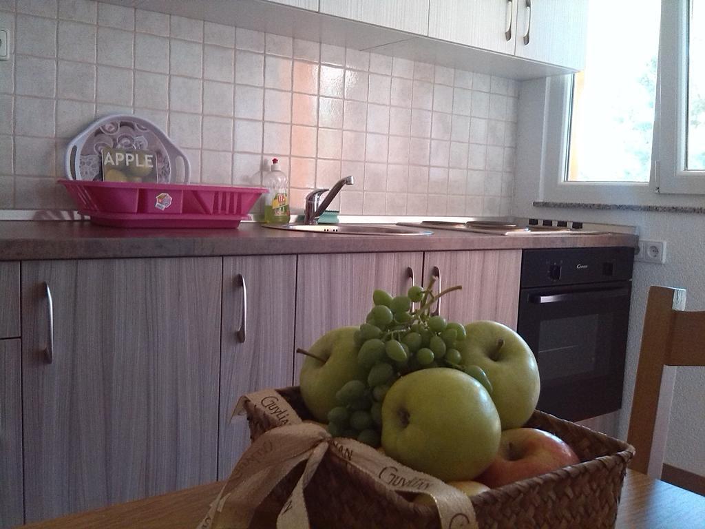 Apartment Luka Gornji Karin Ruang foto